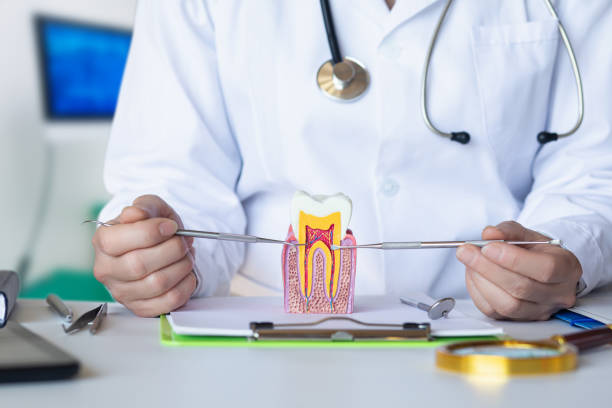 Best Emergency Root Canal Treatment in Hornsby Bend, TX